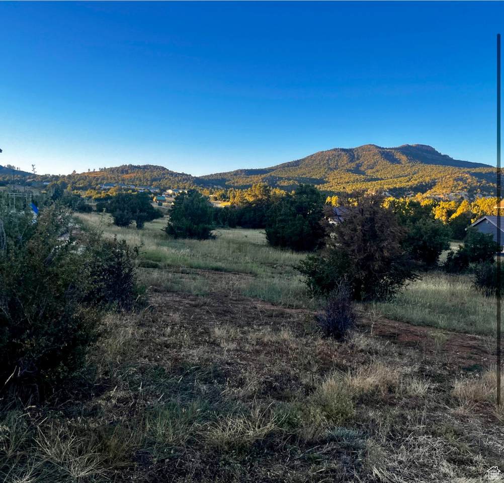 10550 Zion Dr - Photo 1