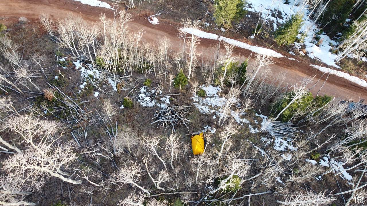 462 Ski View Dr - Photo 1