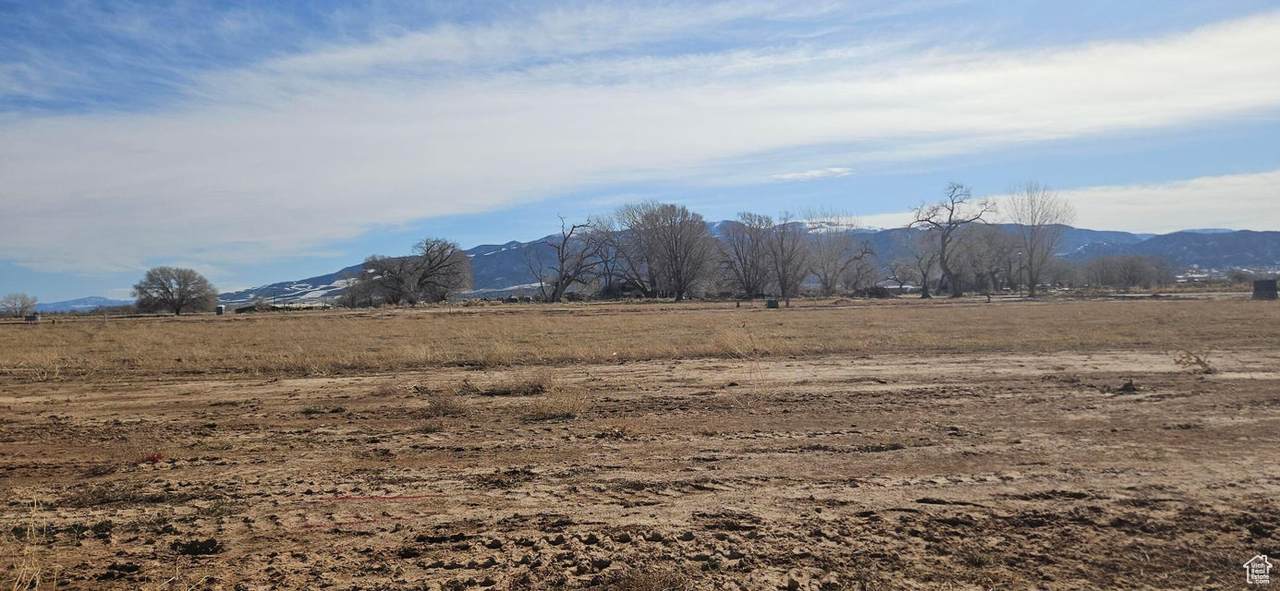 2435 Kings Rd - Photo 1