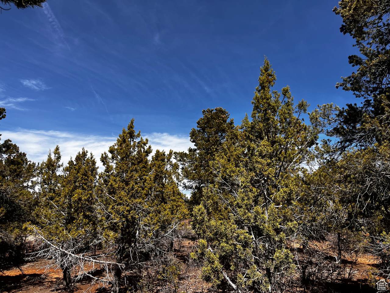 https://bt-photos.global.ssl.fastly.net/wasatch/1280_boomver_1_2078865-1.jpg