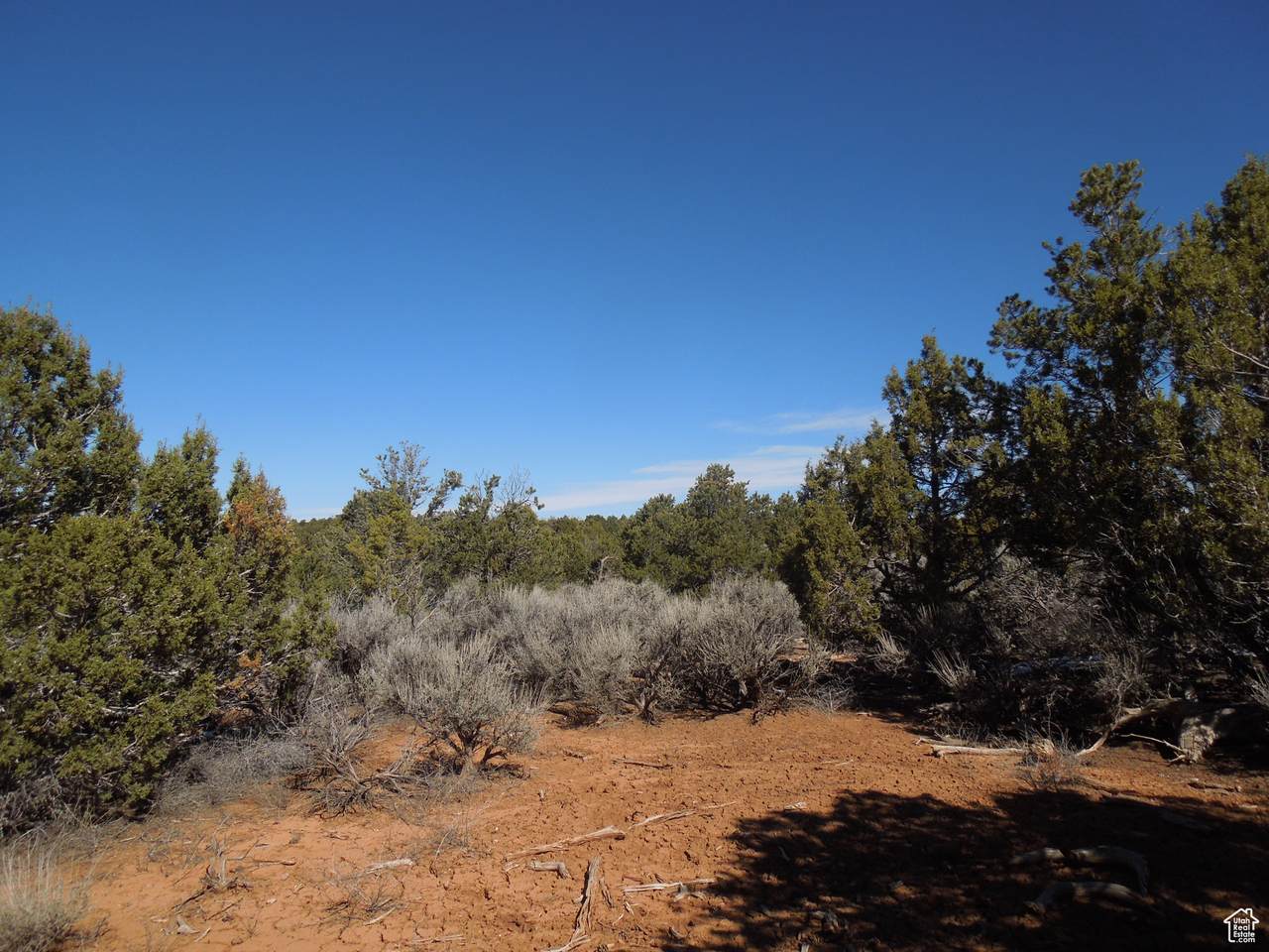 17 Sunrise Country Rd - Photo 1