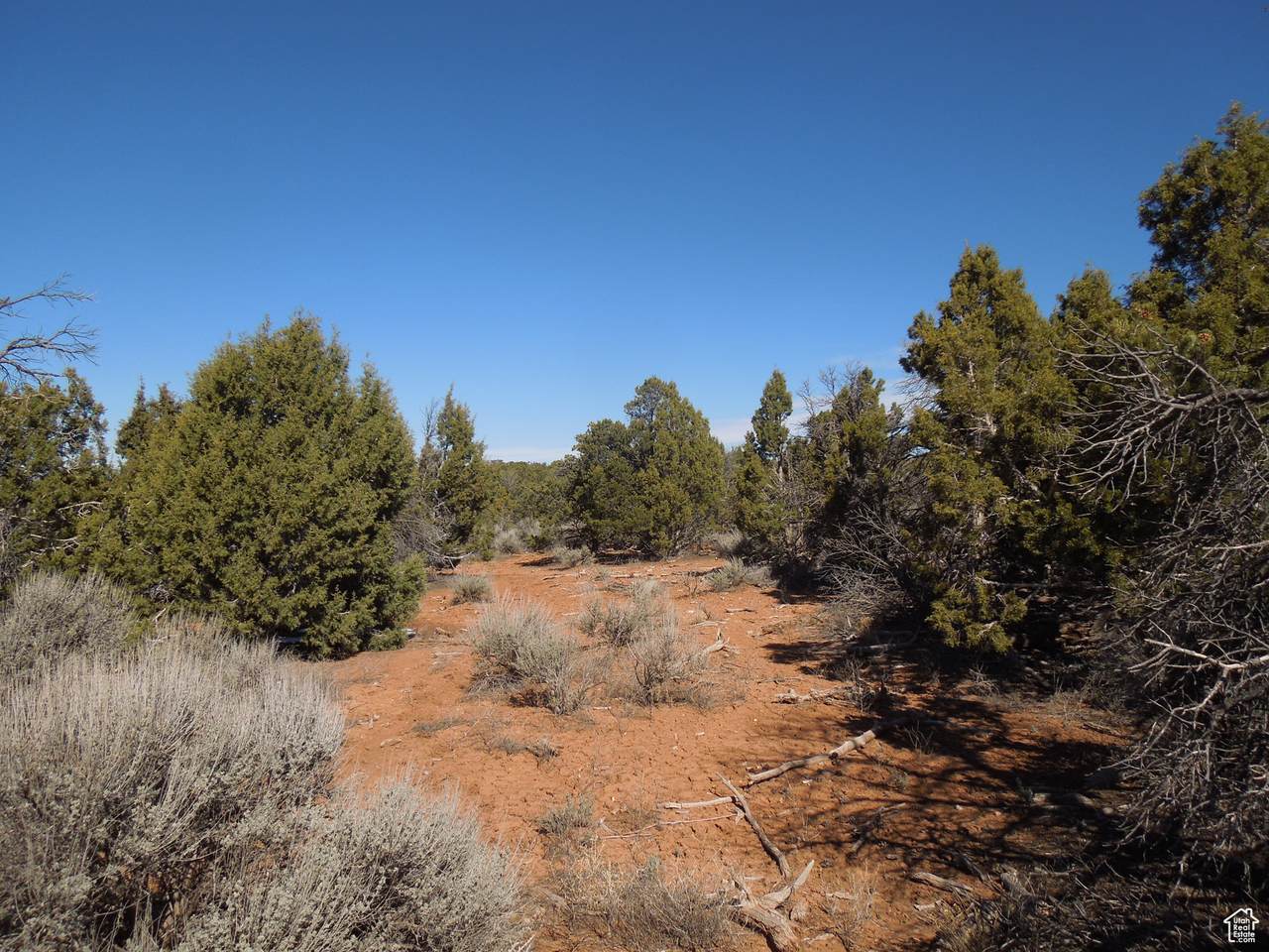 https://bt-photos.global.ssl.fastly.net/wasatch/1280_boomver_1_2078999-1.jpg