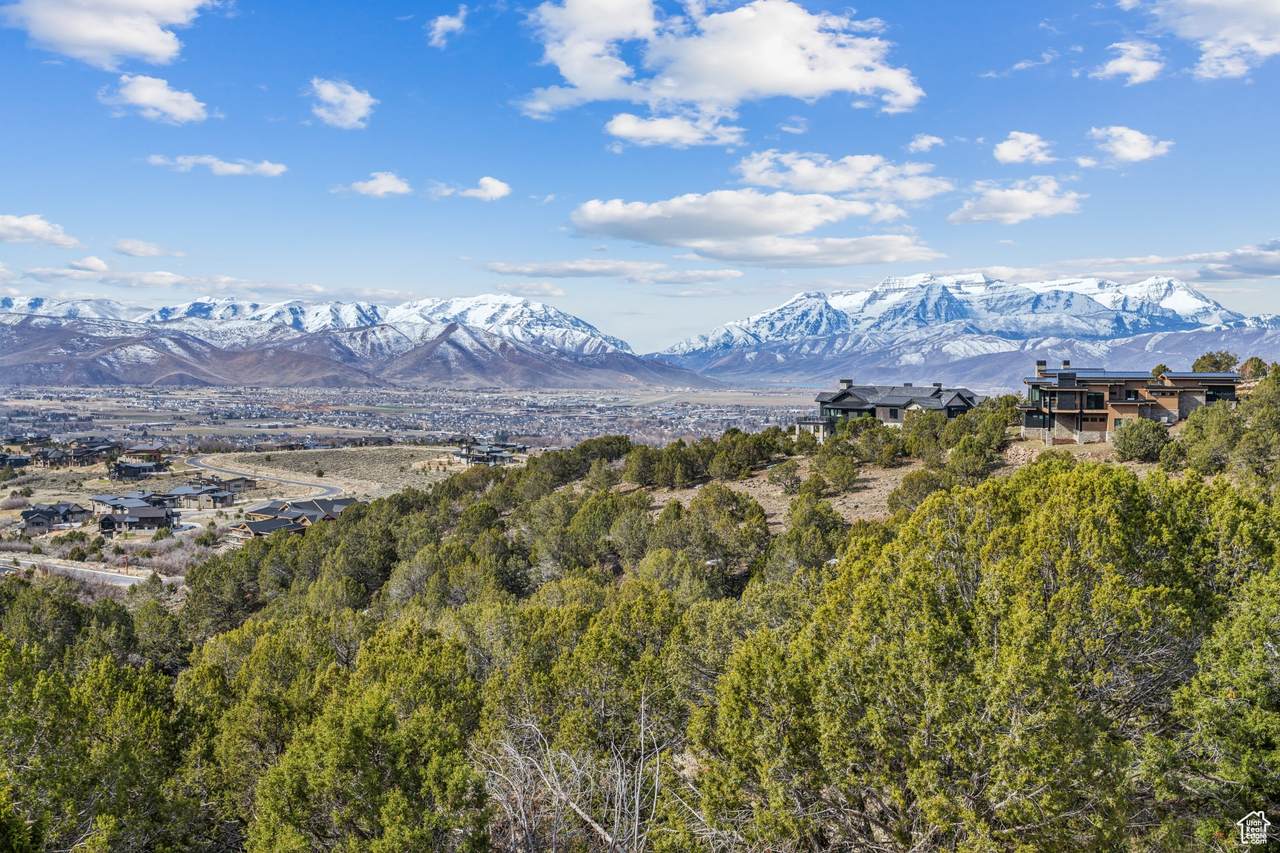2714 La Sal Peak Dr - Photo 1