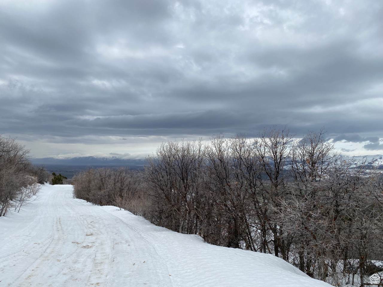 22625 13255 - Photo 1