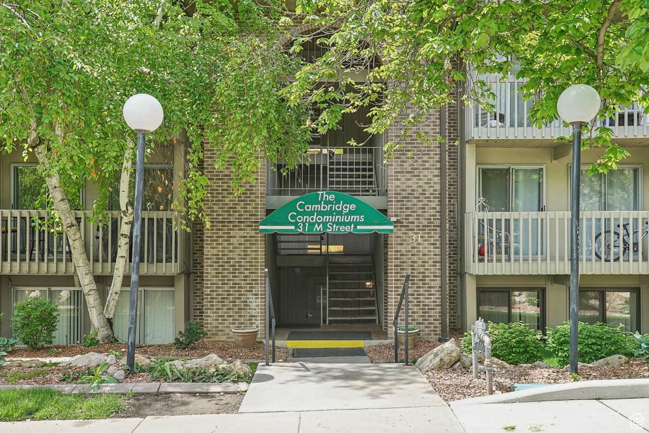 31 M St - Photo 1