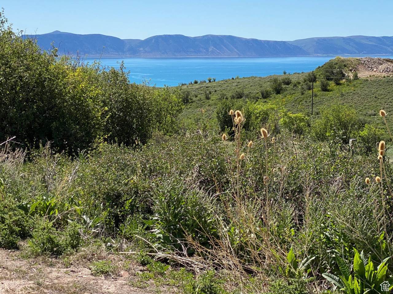 975 Bear Lake Ln - Photo 1