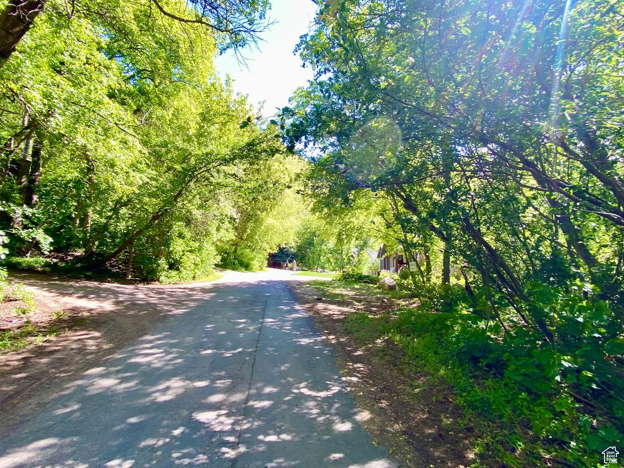 Kellys Dr - Photo 1