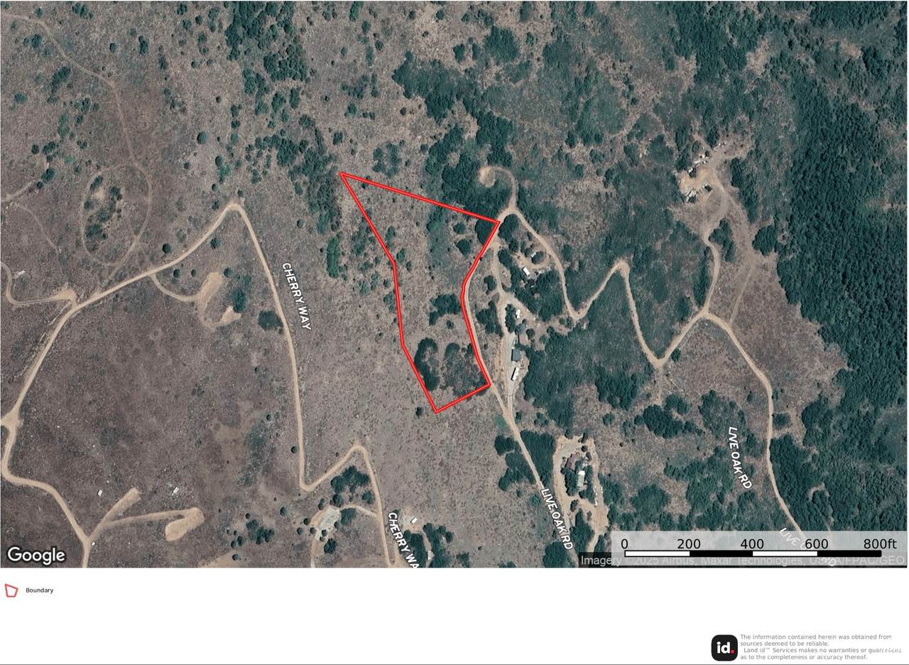 3407 Live Oak Rd - Photo 1