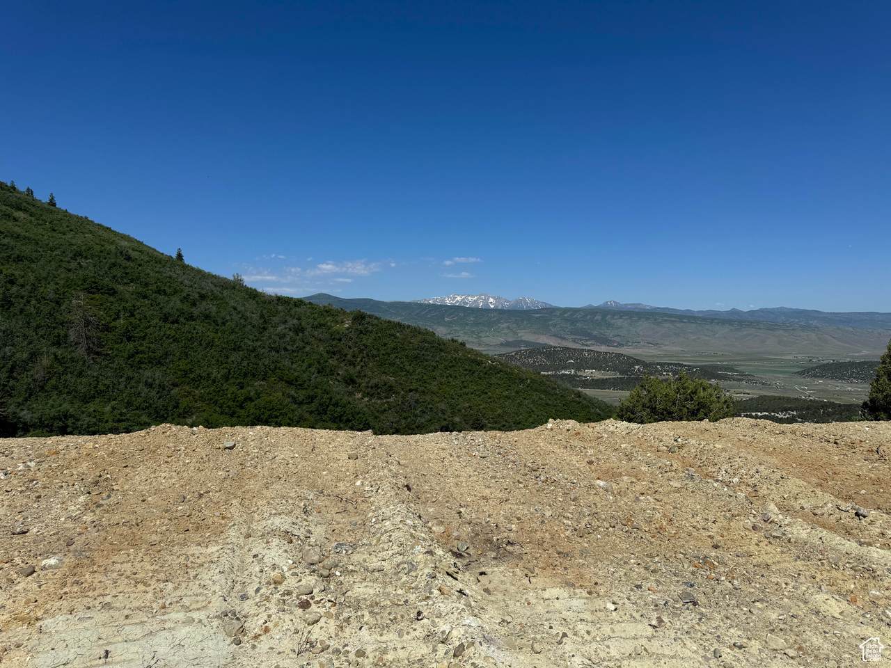 445 Mountain View Rd - Photo 1