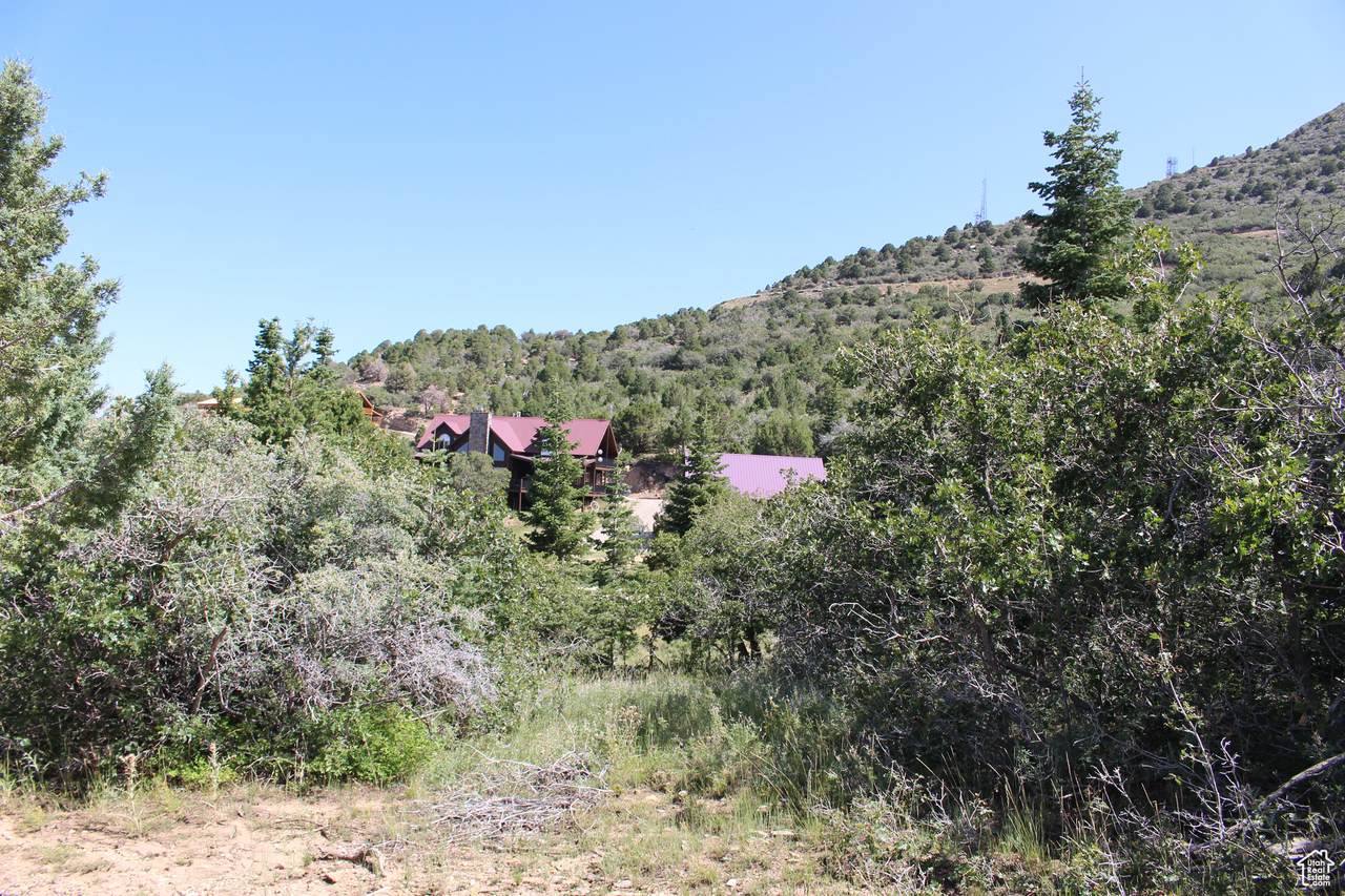 2289 High Mountain Dr - Photo 1
