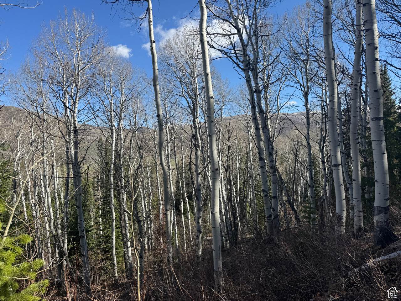 663 Red Fir Way - Photo 1