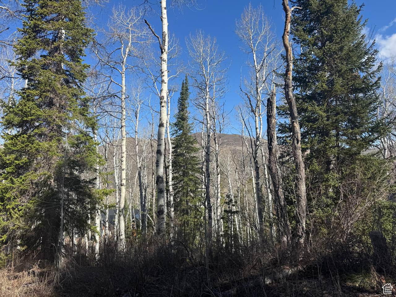 https://bt-photos.global.ssl.fastly.net/wasatch/1280_boomver_1_2084839-1.jpg