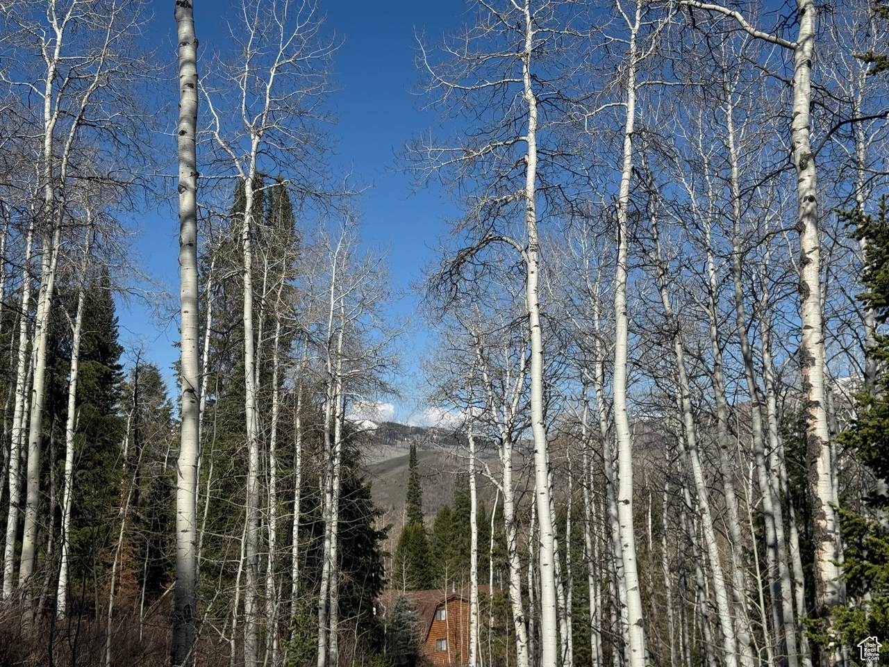 https://bt-photos.global.ssl.fastly.net/wasatch/1280_boomver_1_2084839-1.jpg