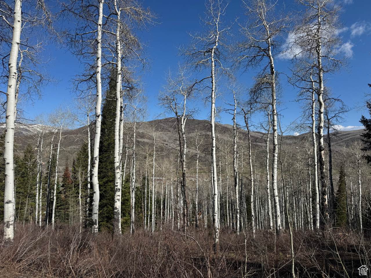 https://bt-photos.global.ssl.fastly.net/wasatch/1280_boomver_1_2084839-1.jpg