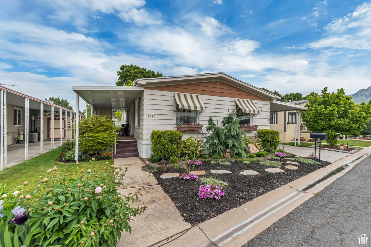 1229 Cabrito - Photo 1