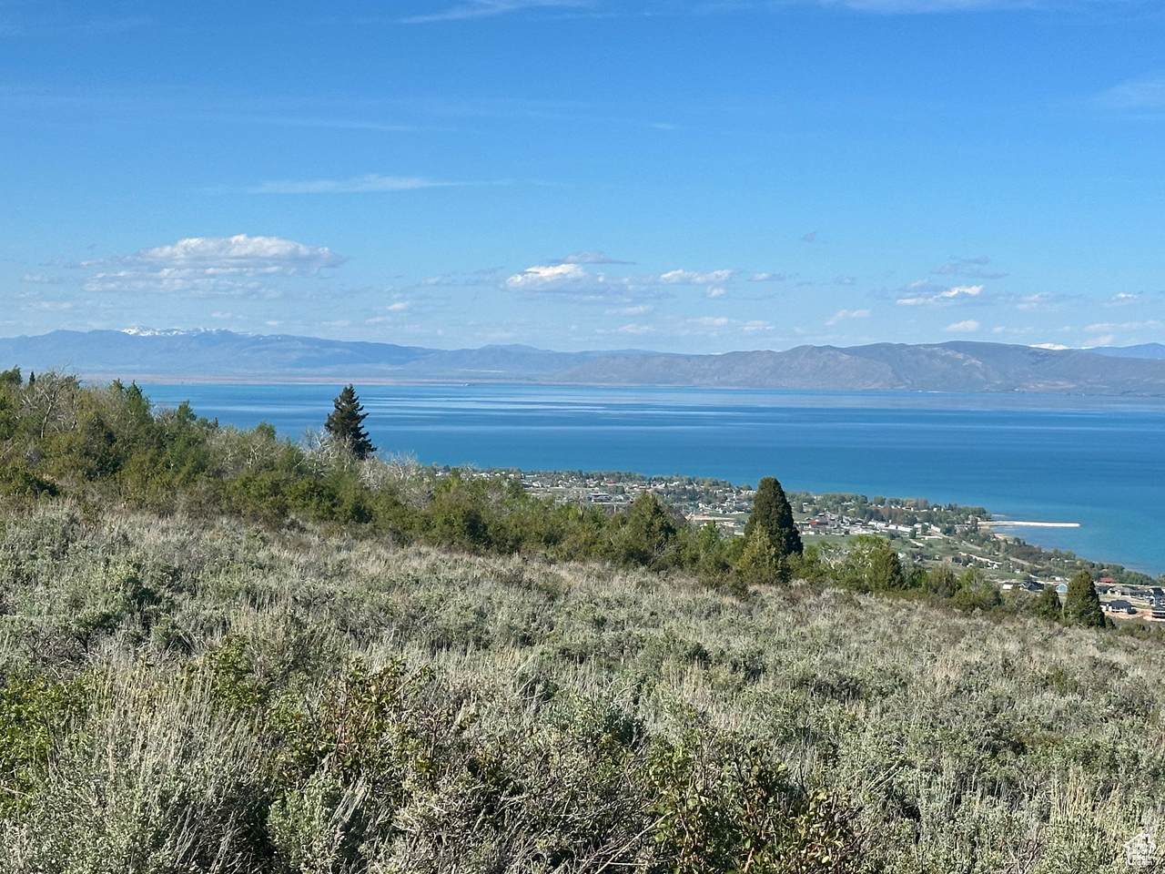 2520 Aspen Loop - Photo 1