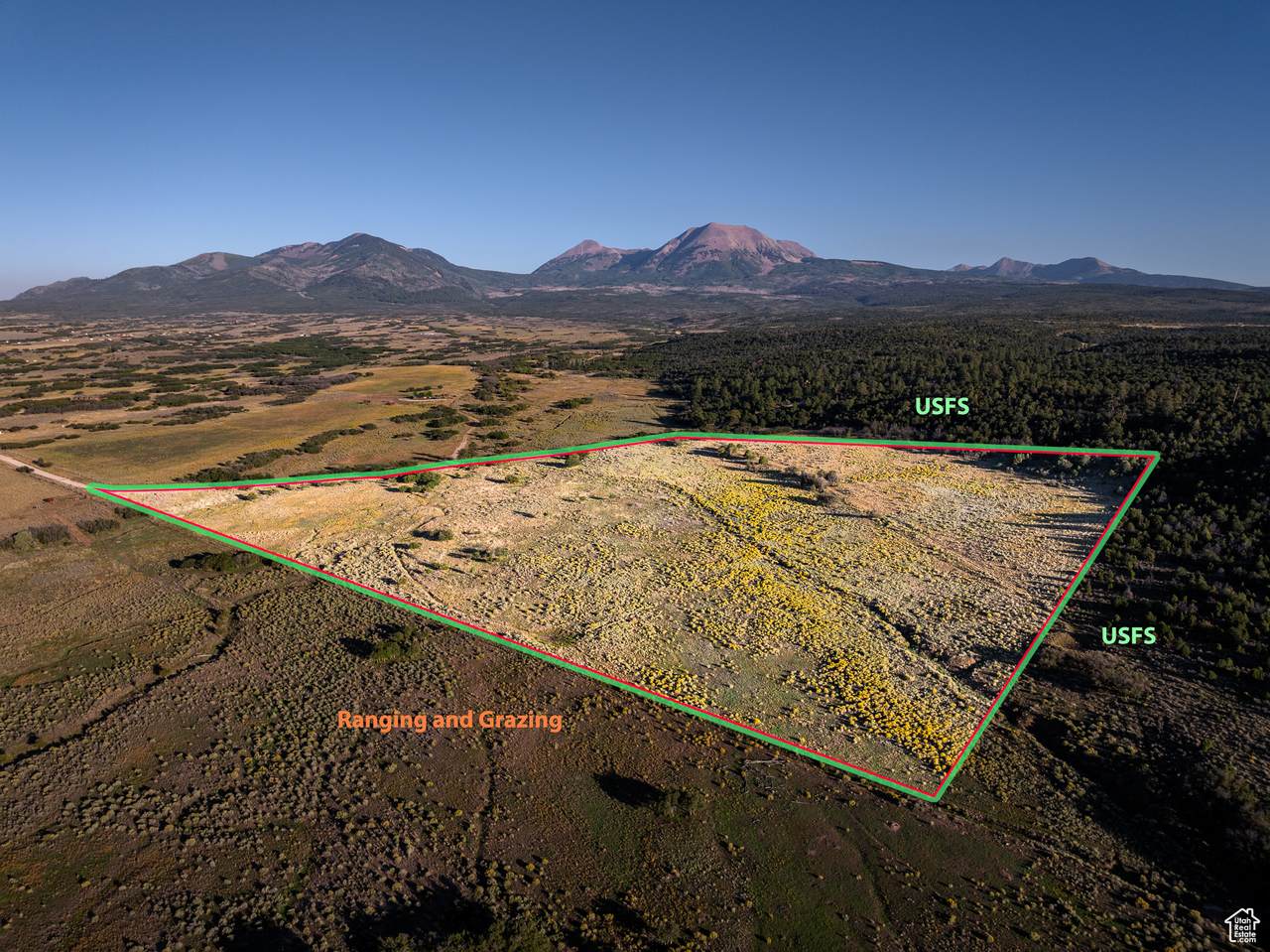 26360 Lower Two Mile Rd - Photo 1