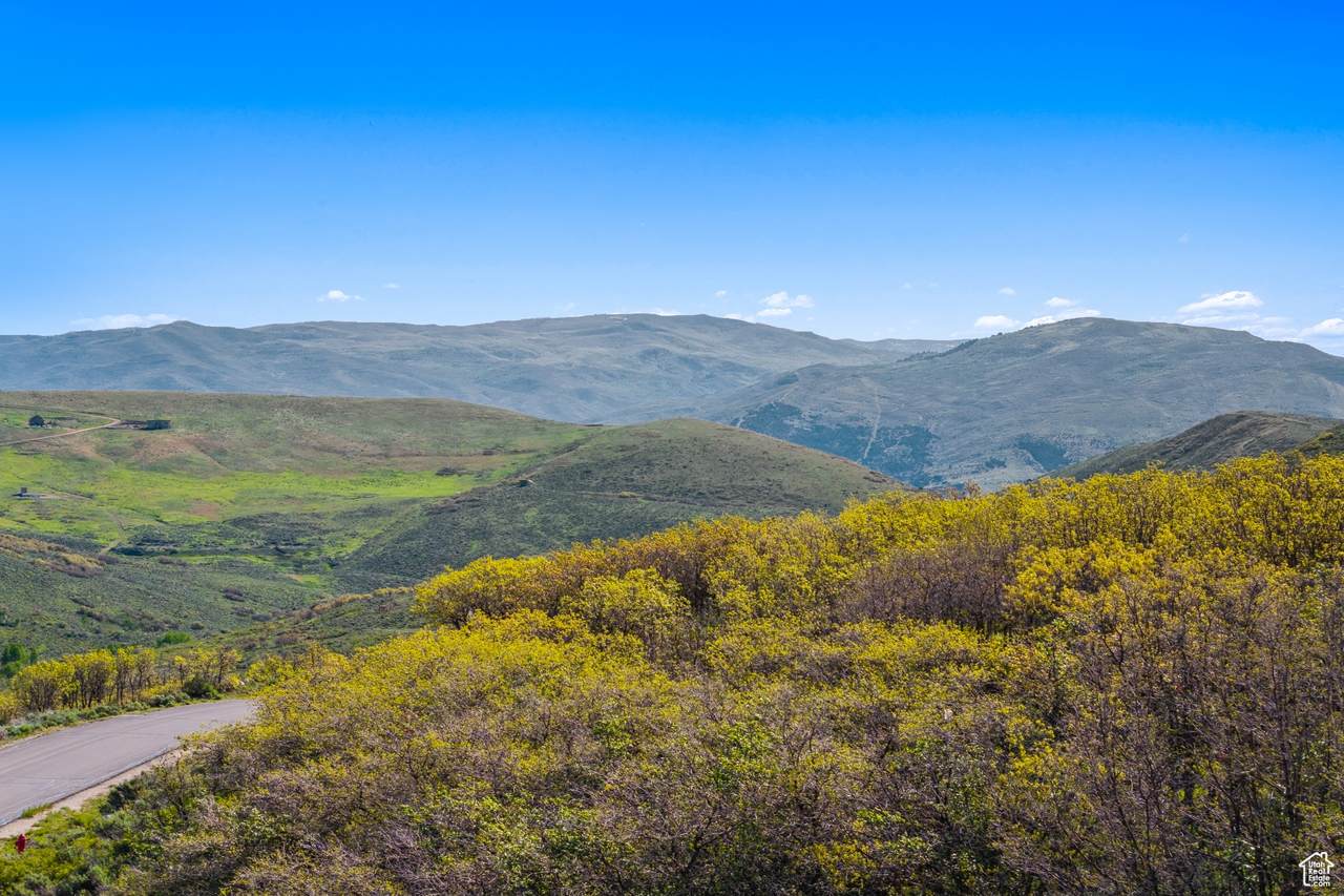 4085 Aspen Camp Loop - Photo 1