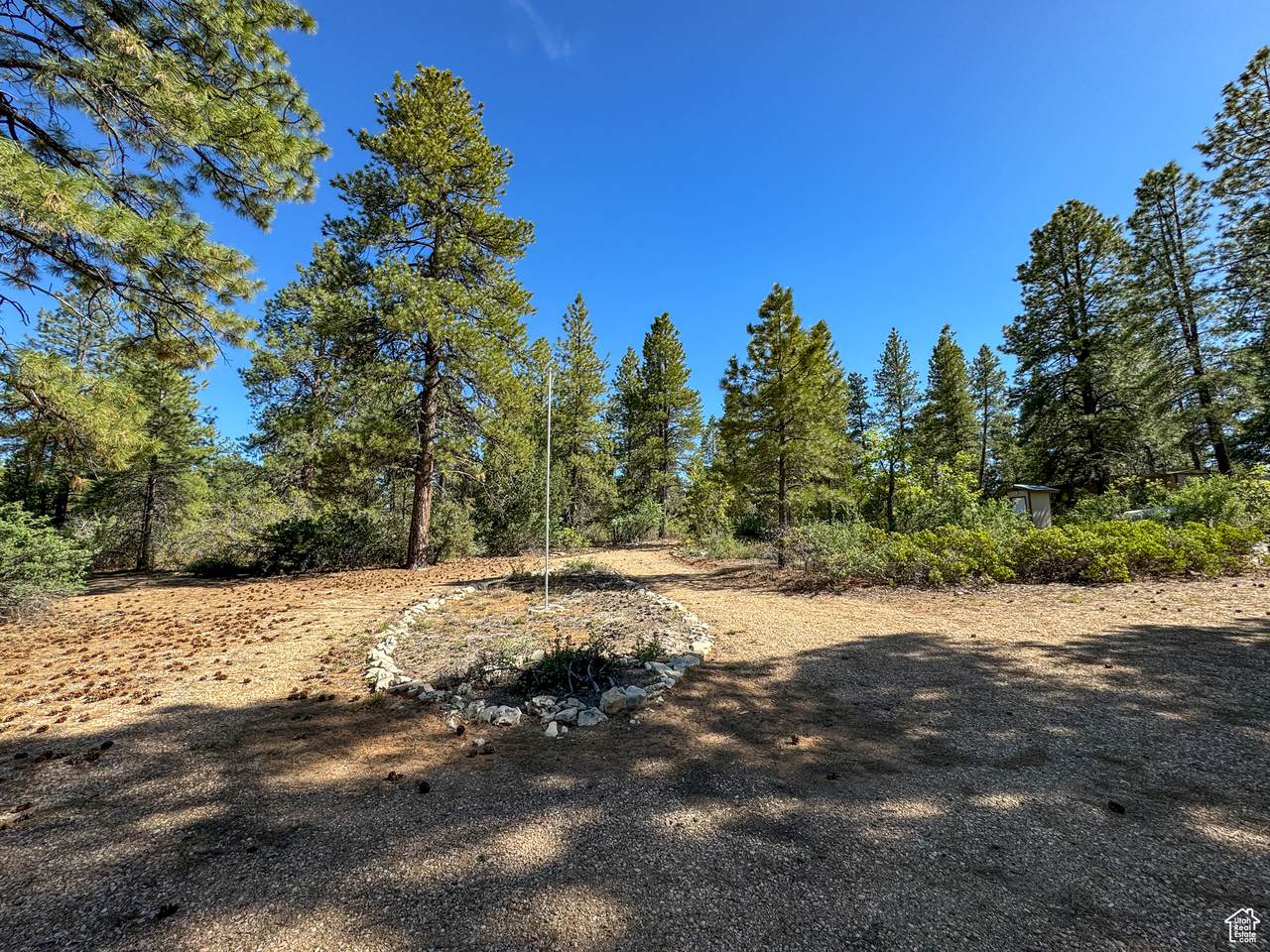 11630 Cedar Rd - Photo 1
