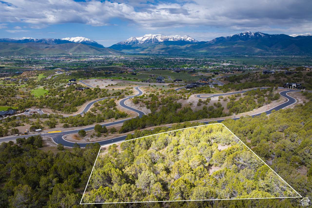 2993 La Sal Peak Dr - Photo 1