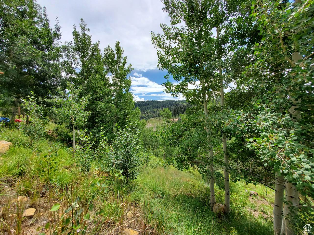 103 Brooks Canyon Rd - Photo 1