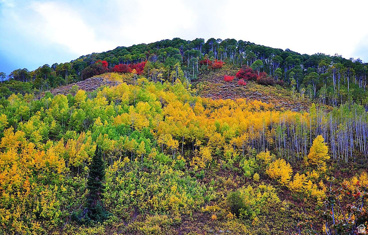  Middle Fork  / Pine Canyon Rd Rd - Photo 1