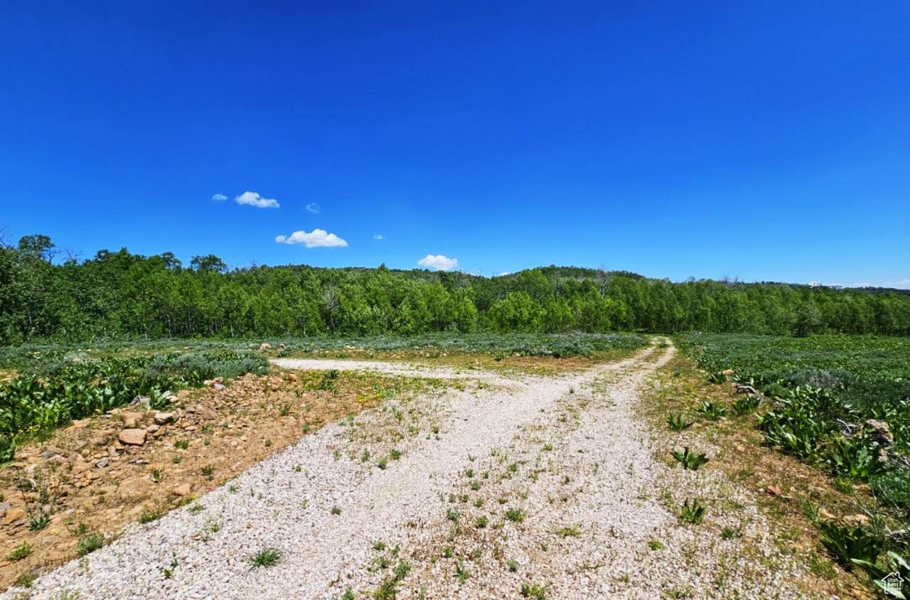 https://bt-photos.global.ssl.fastly.net/wasatch/1280_boomver_1_2092089-1.jpg