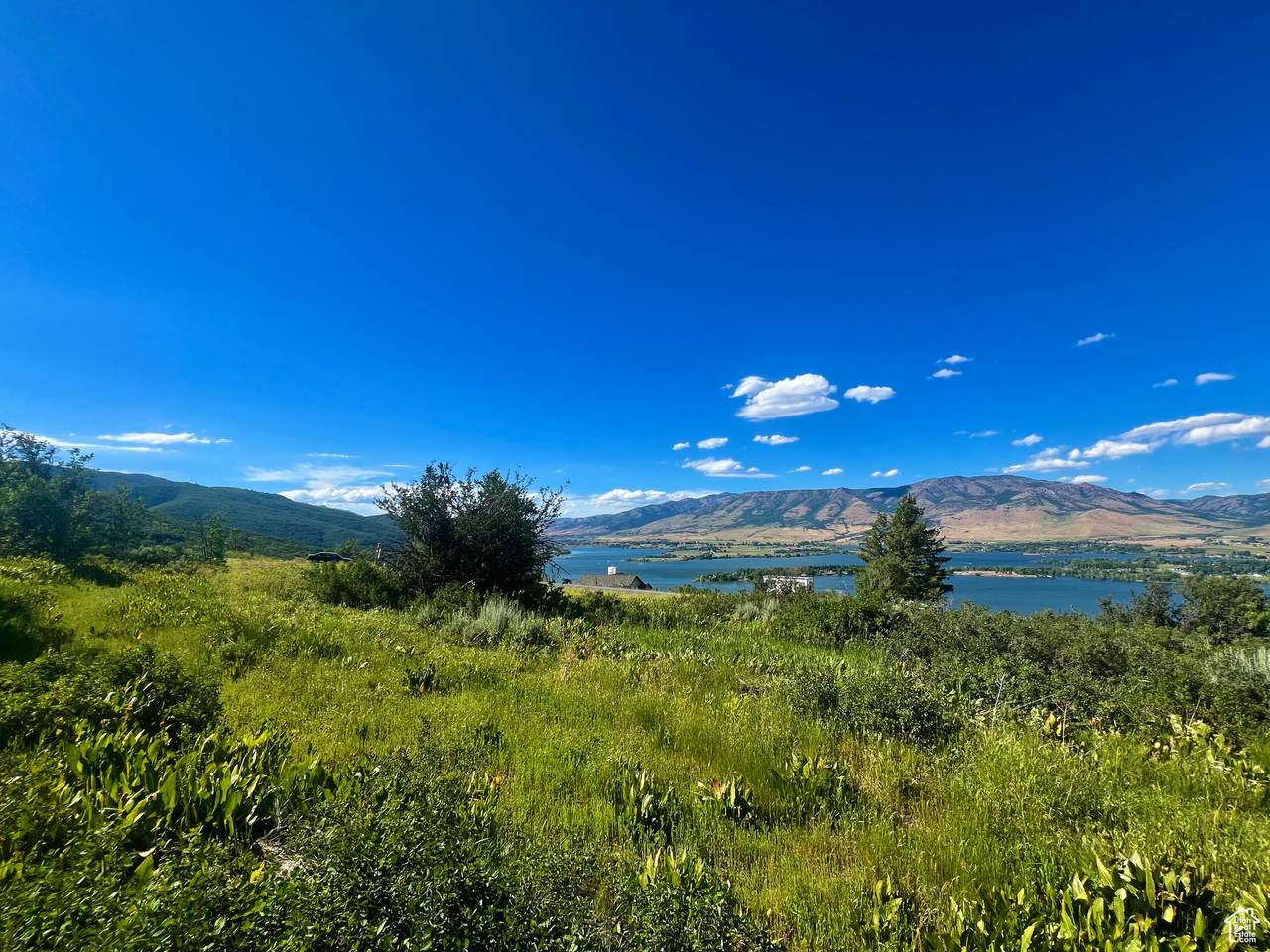 https://bt-photos.global.ssl.fastly.net/wasatch/1280_boomver_1_2092224-1.jpg