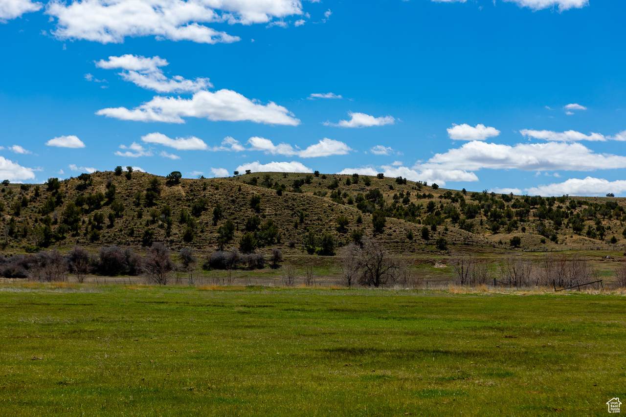 https://bt-photos.global.ssl.fastly.net/wasatch/1280_boomver_1_2092576-1.jpg