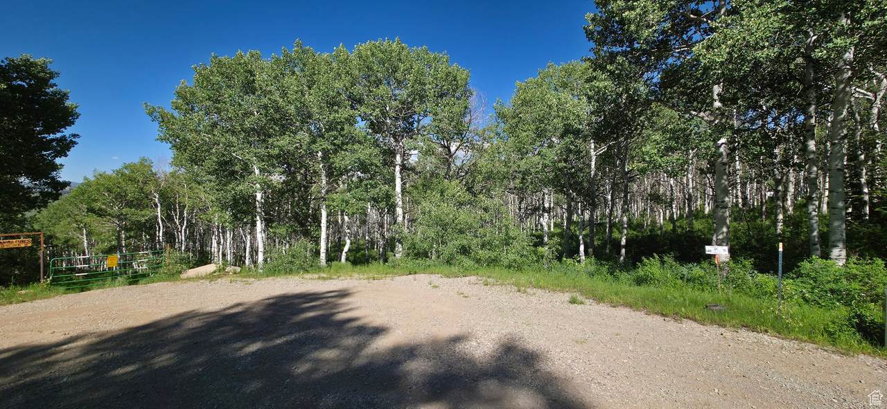 https://bt-photos.global.ssl.fastly.net/wasatch/1280_boomver_2_2092888-1.jpg
