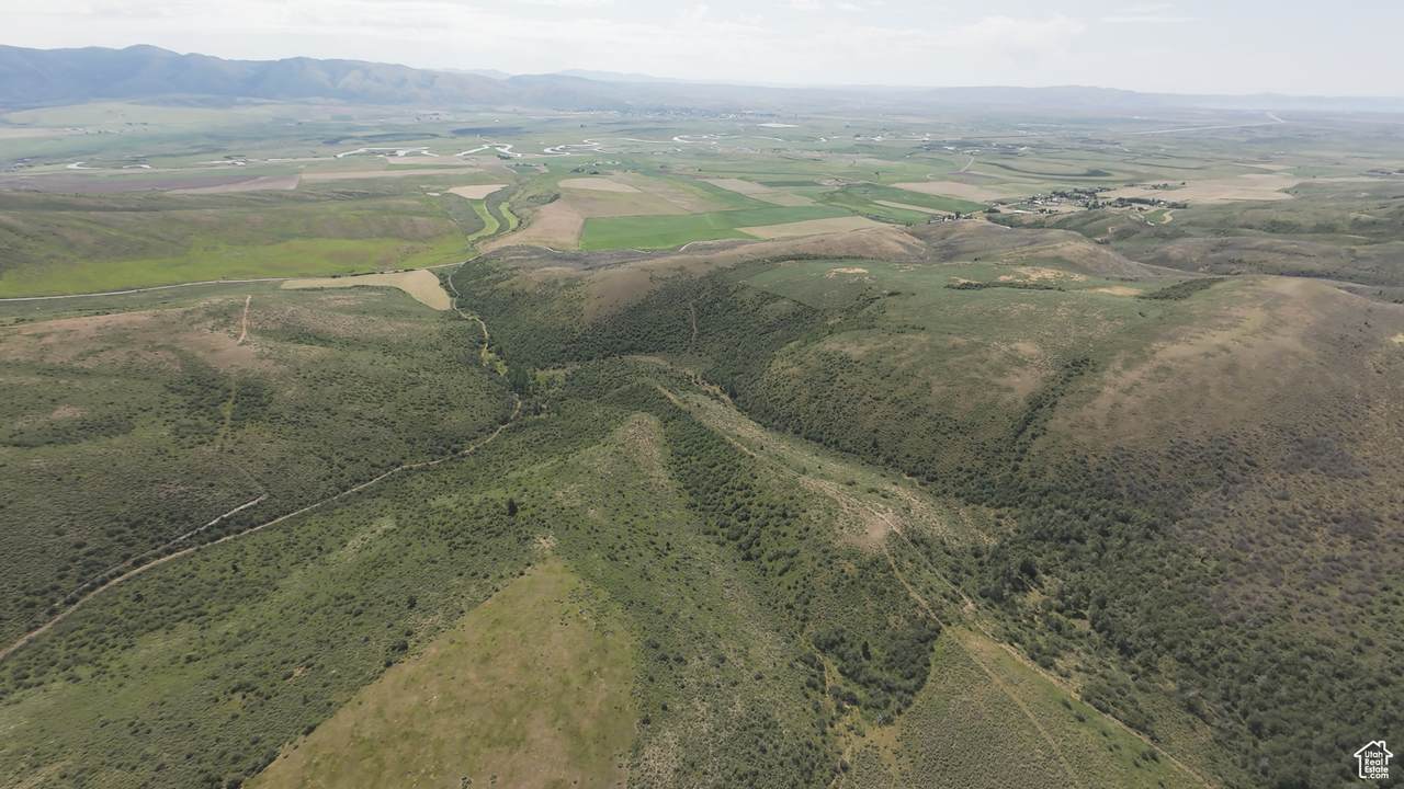 10 Stauffer Canyon Rd - Photo 1