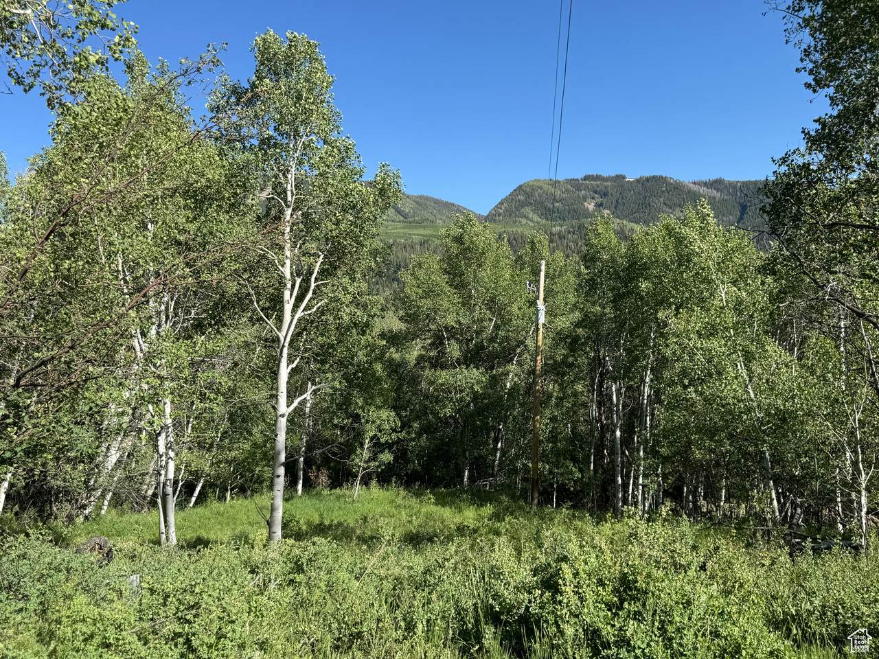 https://bt-photos.global.ssl.fastly.net/wasatch/1280_boomver_1_2095532-1.jpg