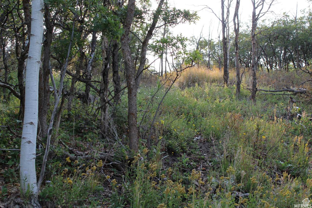 1747 Beaver Bench - Photo 1