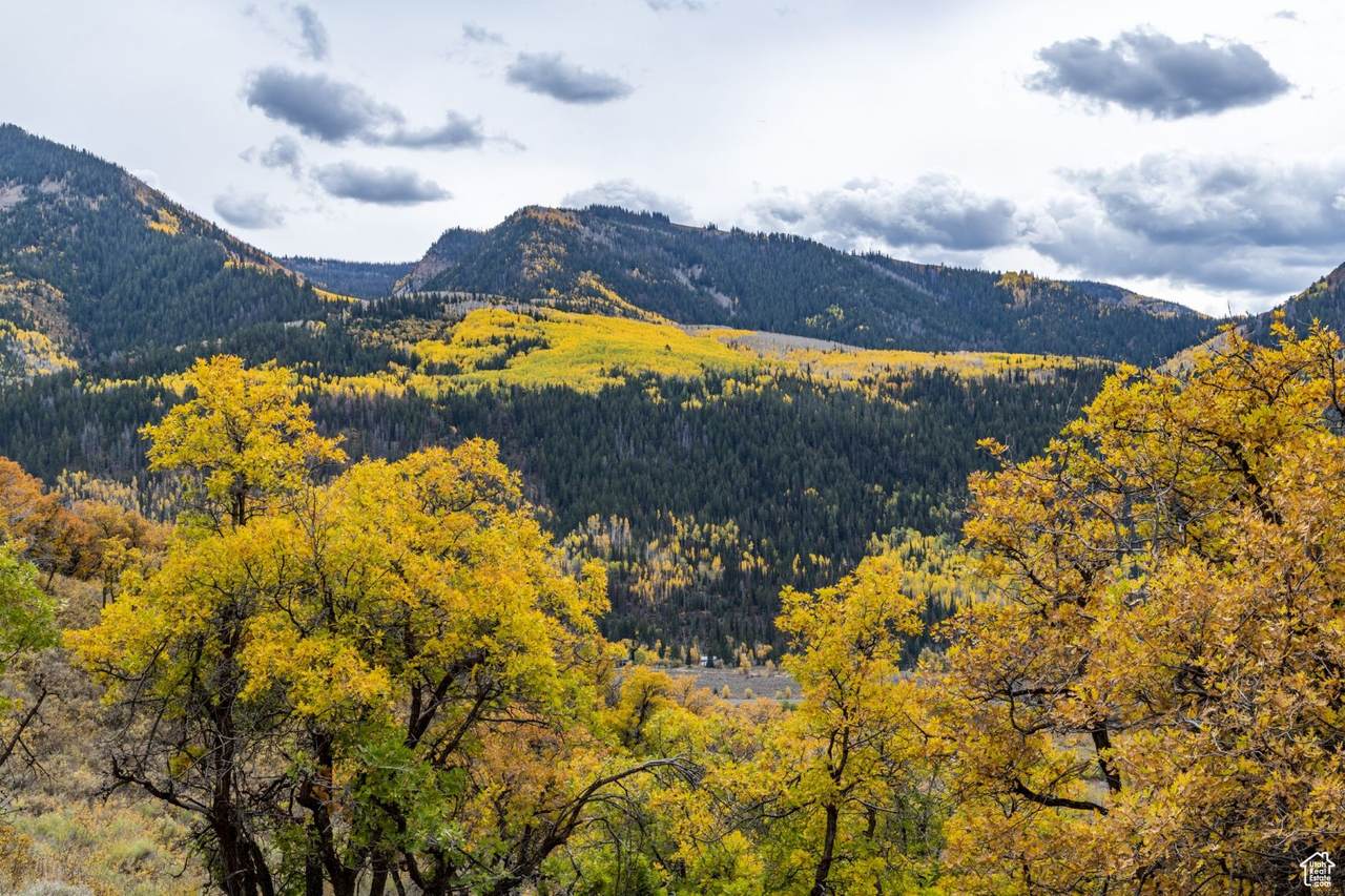 https://bt-photos.global.ssl.fastly.net/wasatch/1280_boomver_1_2099702-1.jpg