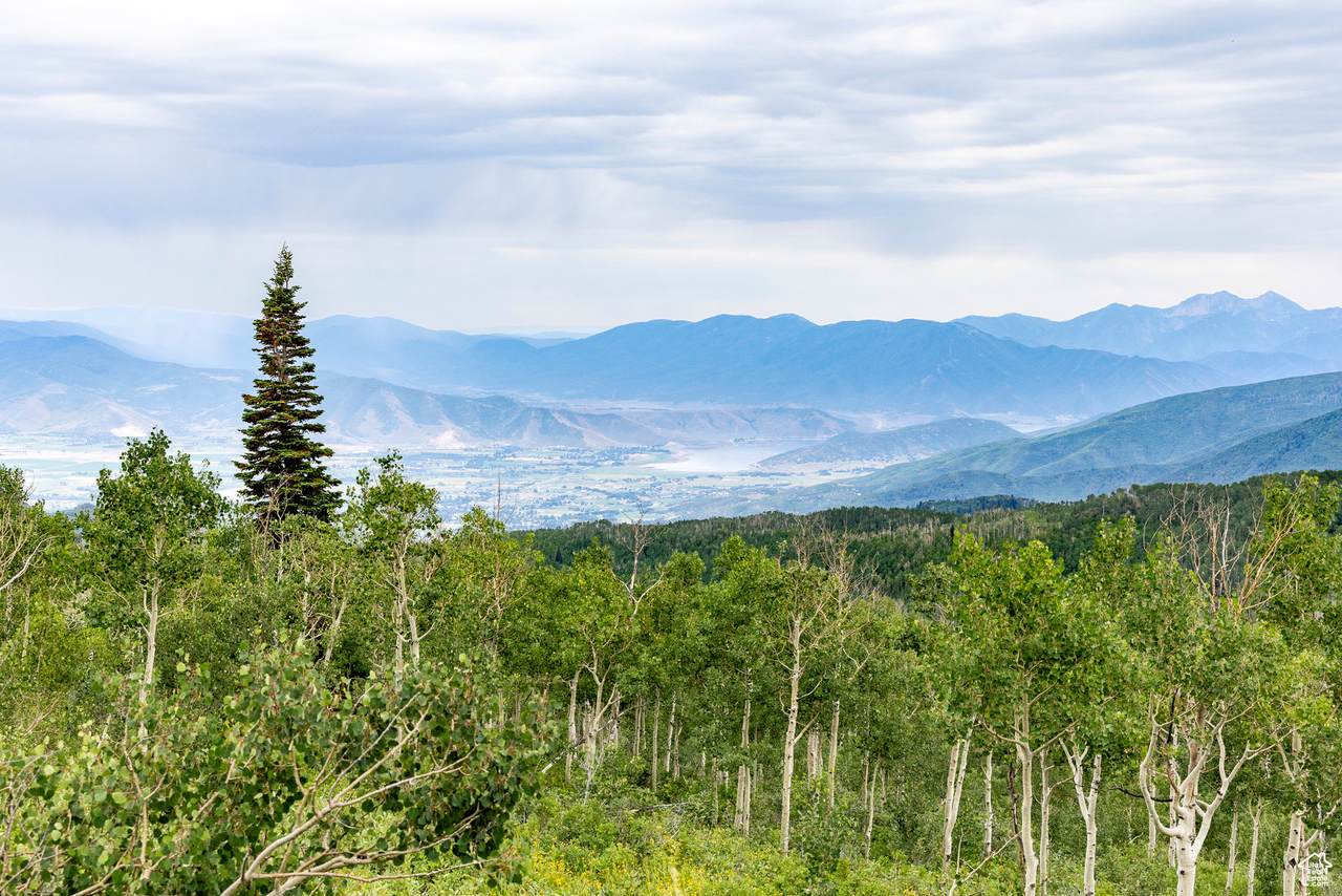  Address Not Published - Photo 1