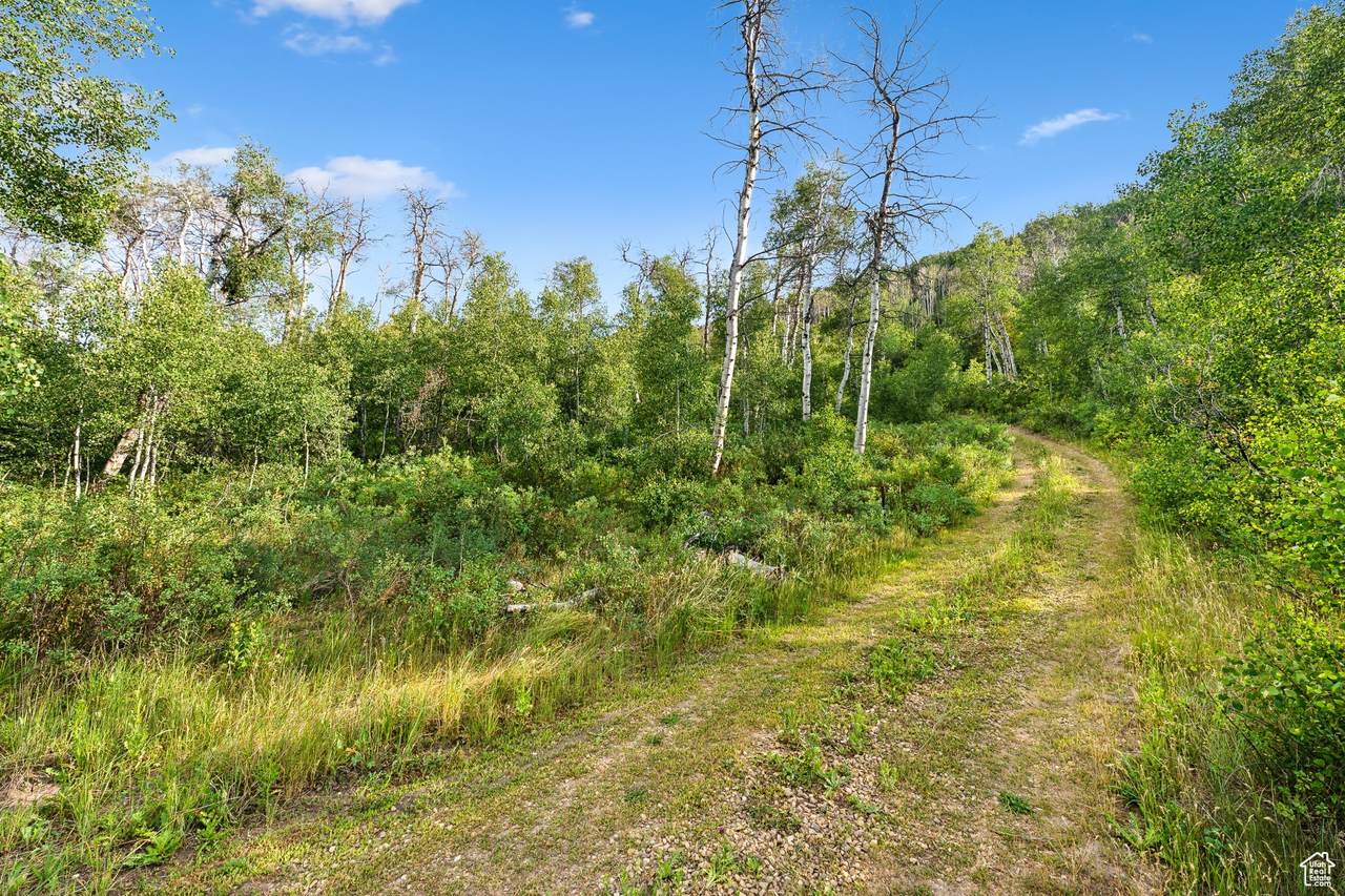 0 Address Not Published - Photo 1