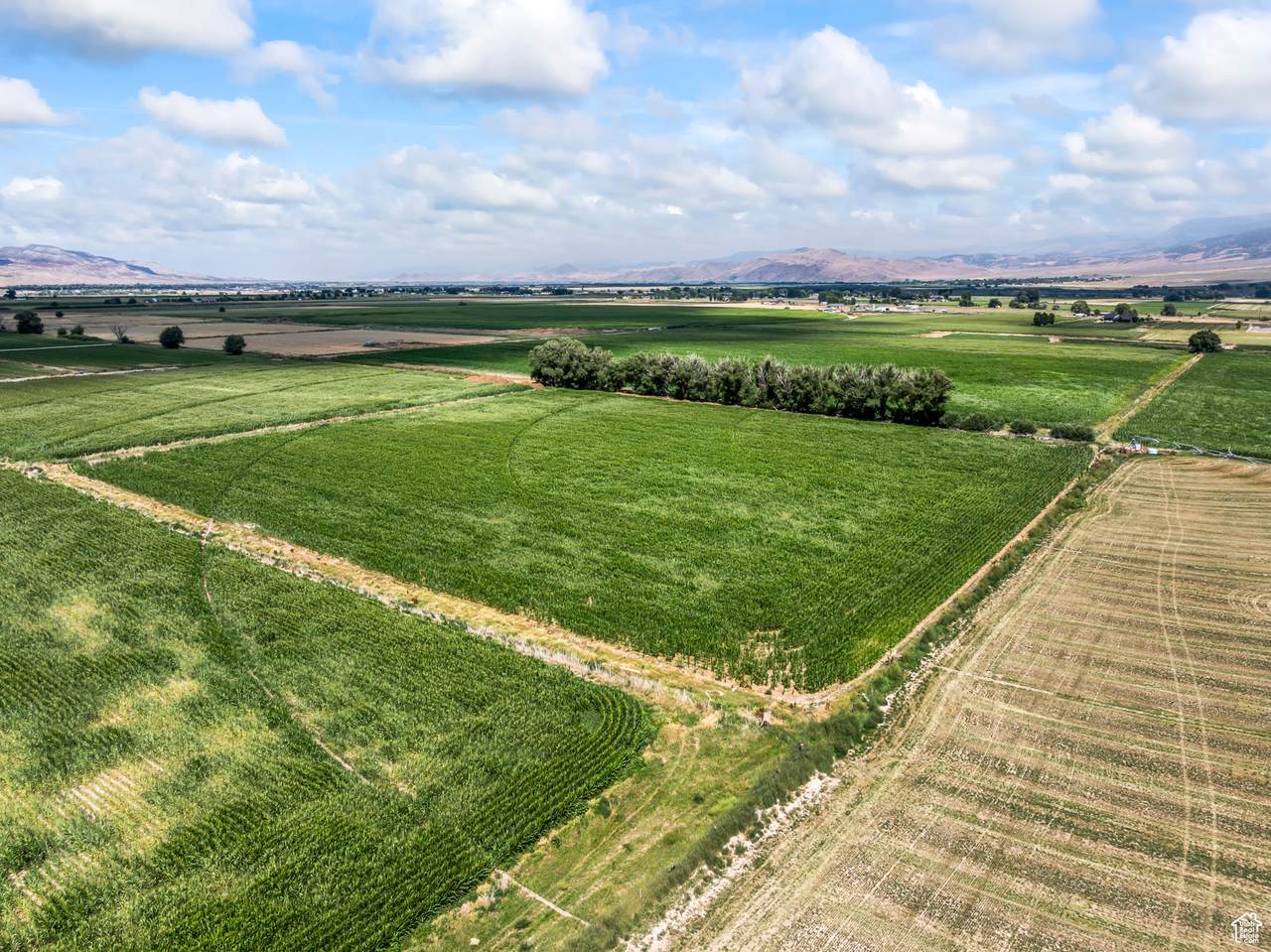  Address Not Published - Photo 1