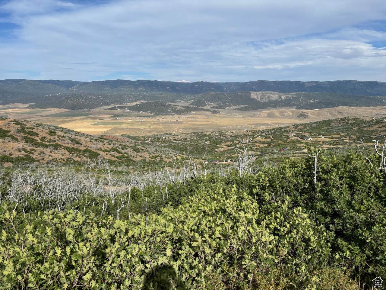  Address Not Published - Photo 1