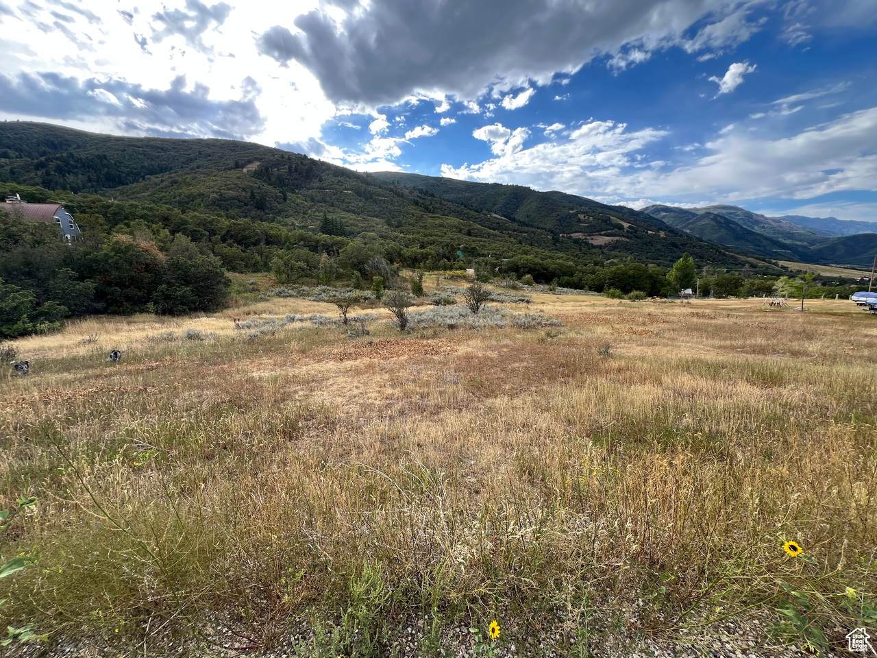 2141 Big Sky Dr - Photo 1