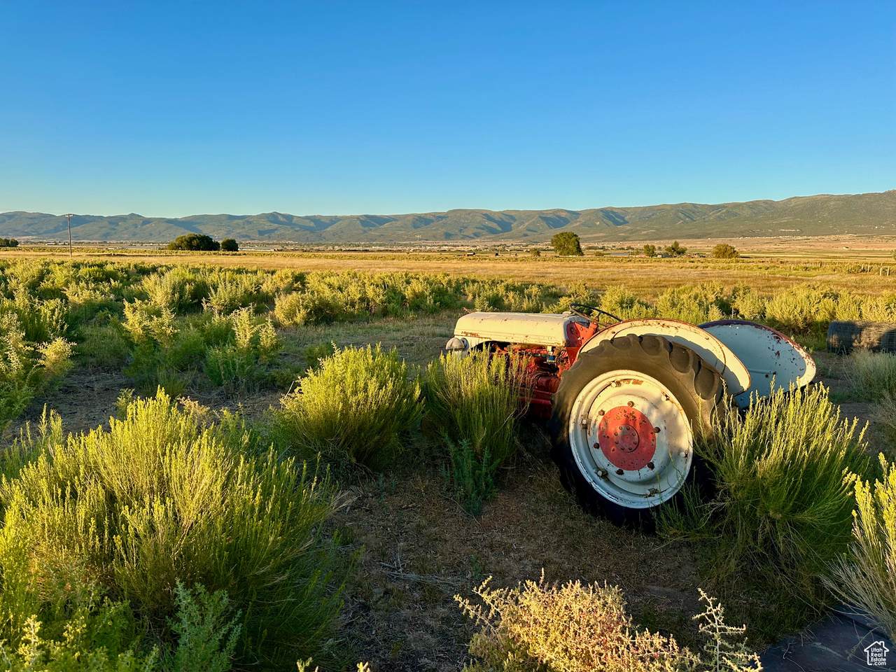  Address Not Published - Photo 1