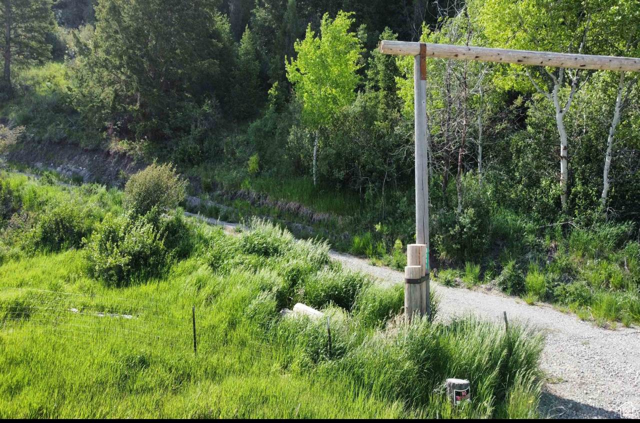 3111 Caribou Rd - Photo 1