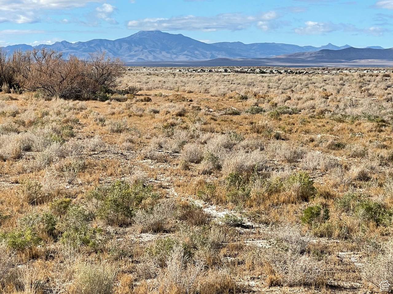 https://bt-photos.global.ssl.fastly.net/wasatch/orig_boomver_1_2107657-1.jpg