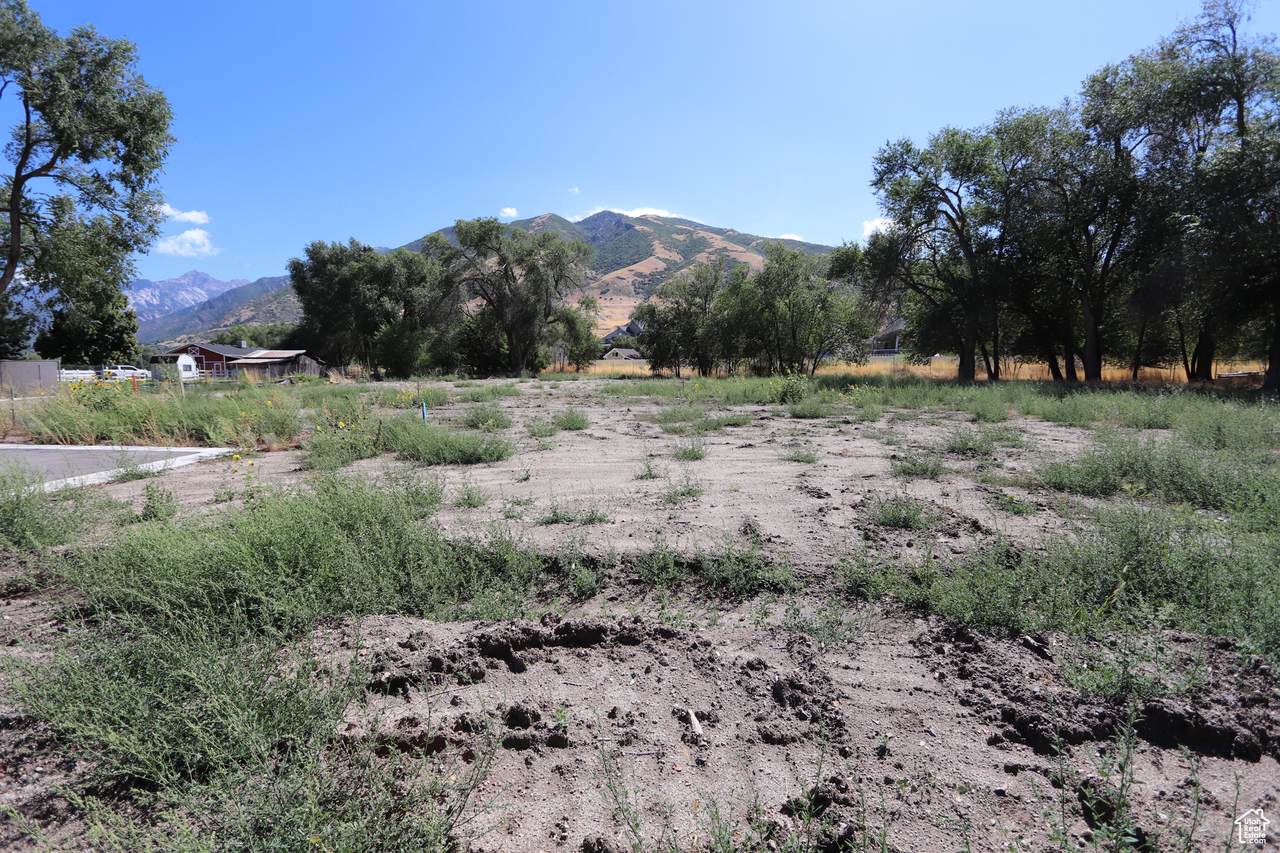 1314 Victor Ln - Photo 1