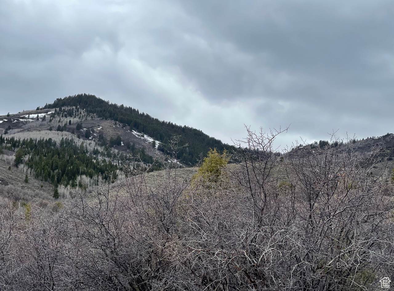 https://bt-photos.global.ssl.fastly.net/wasatch/1280_boomver_1_2108457-1.jpg