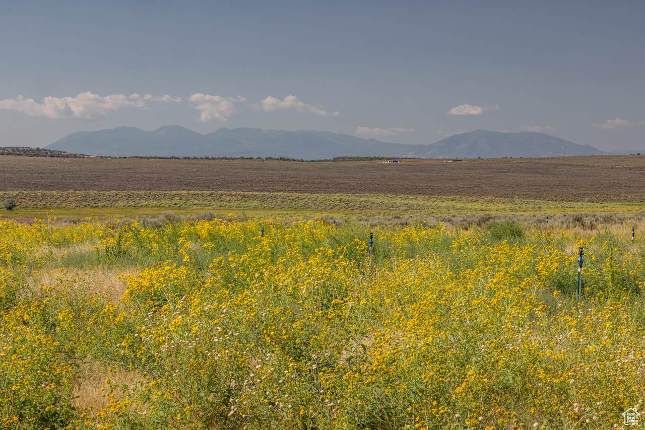 https://bt-photos.global.ssl.fastly.net/wasatch/orig_boomver_1_2108731-1.jpg
