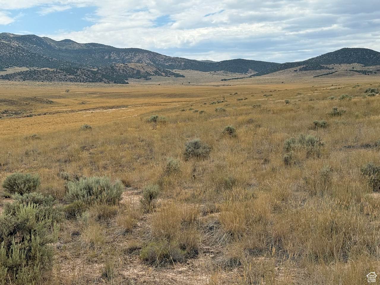  Address Not Published - Photo 1