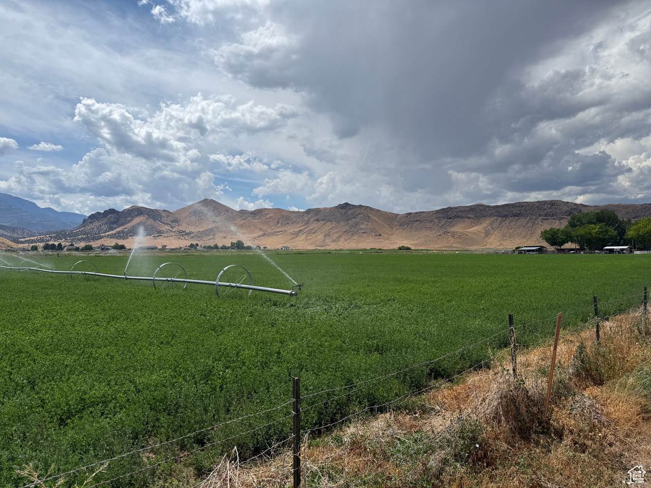  Address Not Published - Photo 1