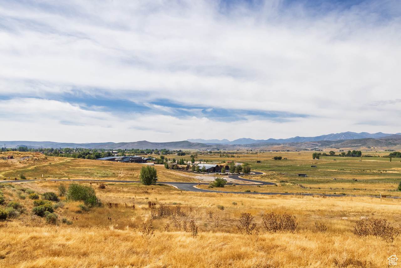 1226 Dovetail Dr - Photo 1