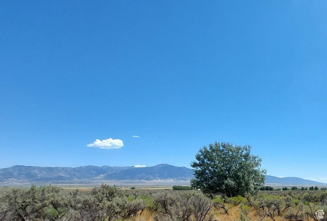  Address Not Published - Photo 1