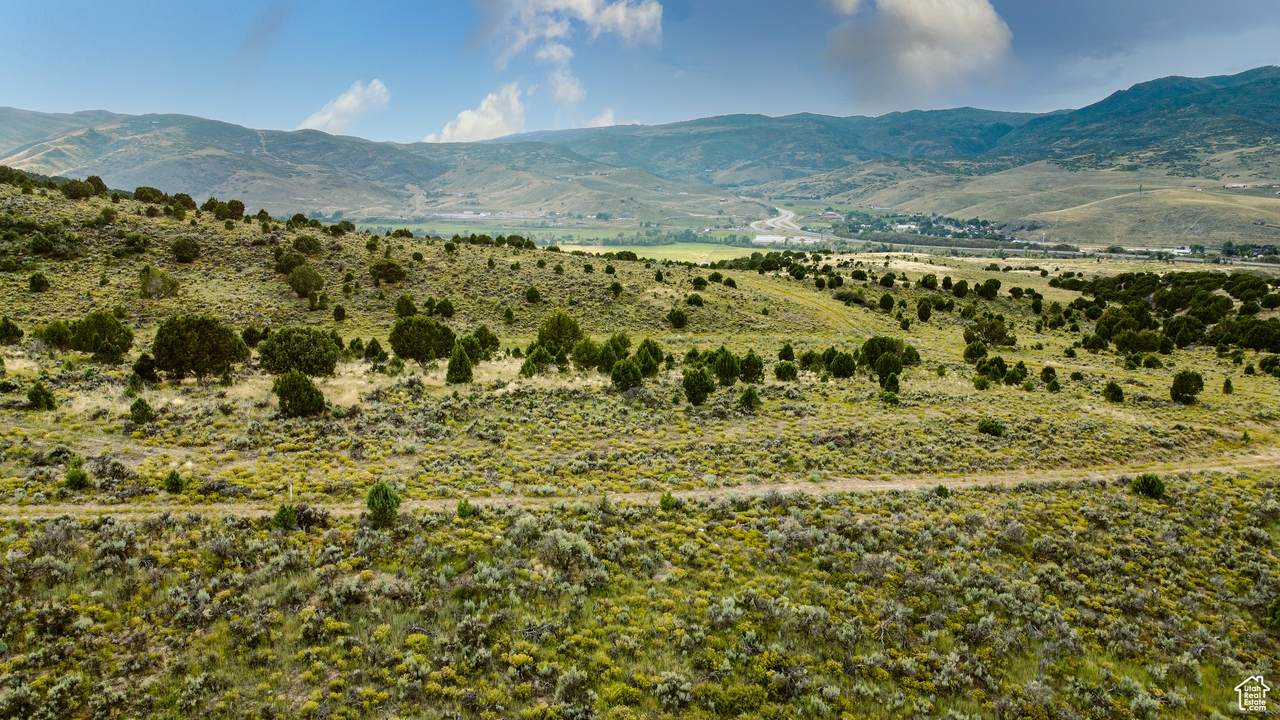 2330 Bobcat Ln - Photo 1